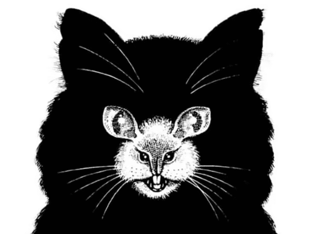 Image cachée chat et souris