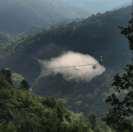 Forme ambiguë entre nuage et poisson