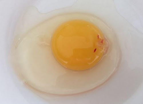 Œufs frais dans un bol