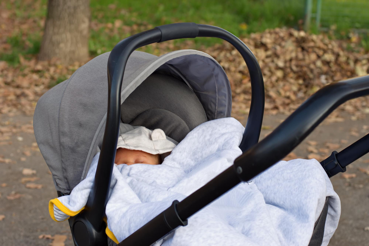Bébé dans son landau avec une chevelure remarquable