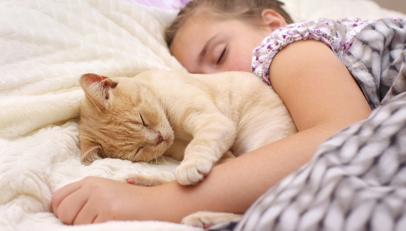 Chat endormi sur une personne