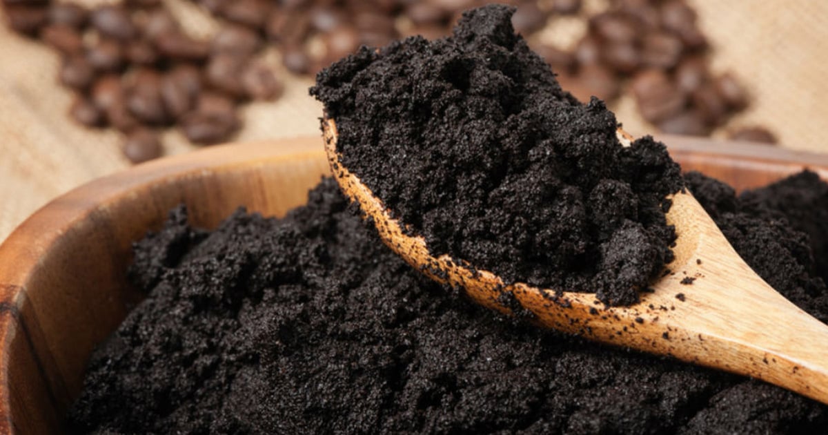 Marc de café comme répulsif contre les insectes