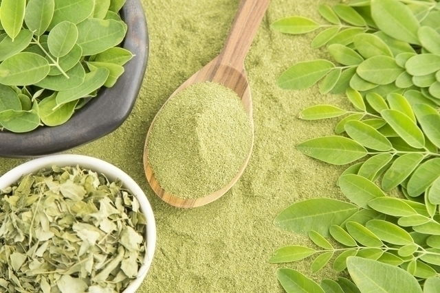 Différentes formes de moringa