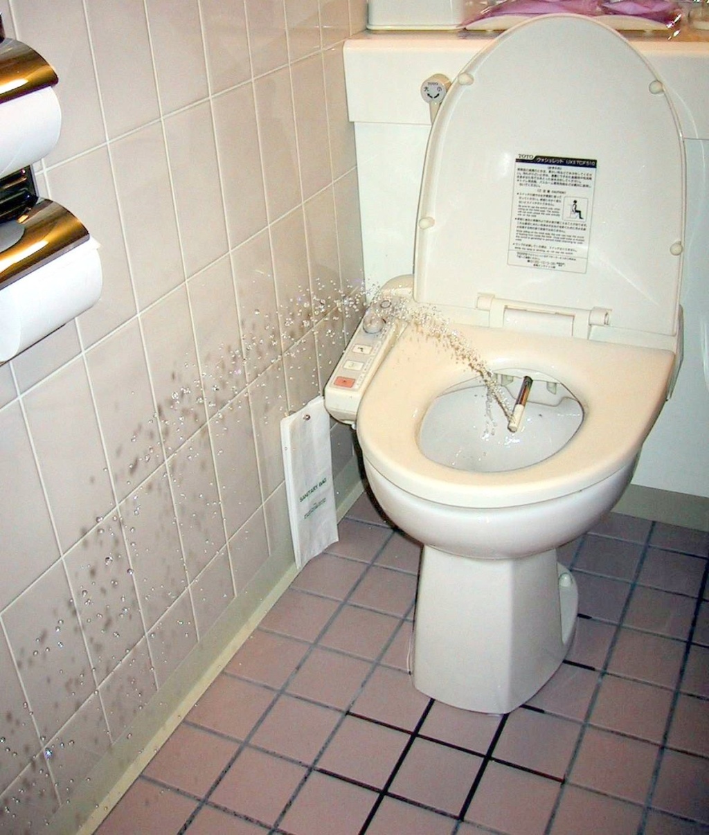 Sanitaires japonais contemporains