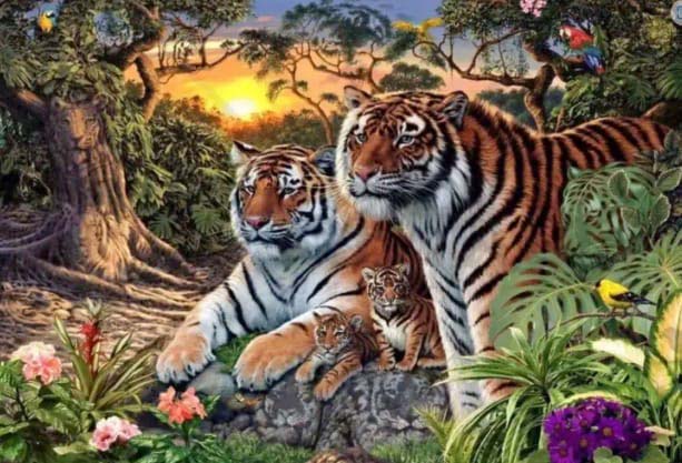 Photo de tigres invisibles dans la végétation