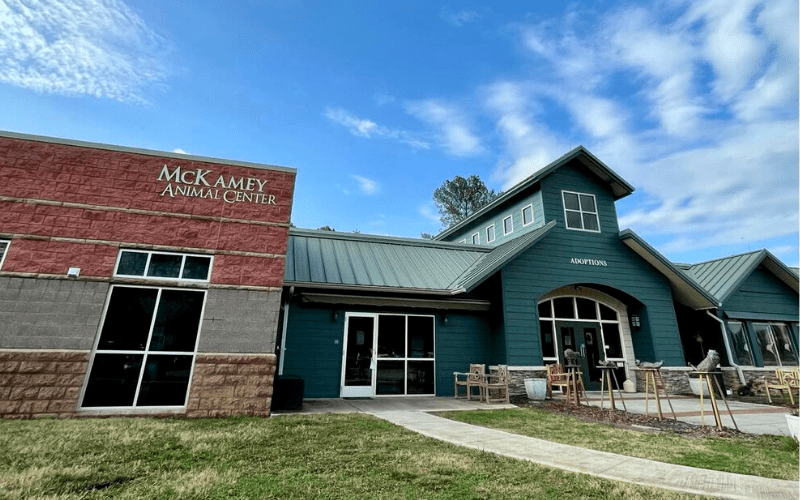 Le McKamey Animal Center, un refuge solidaire