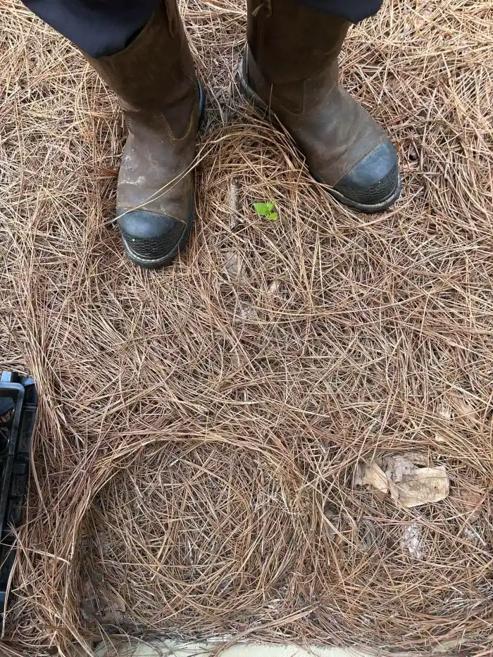 Détail d'une scène en forêt avec des bottes usagées, des aiguilles de pin et une caisse sombre