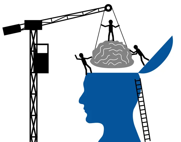 Illustration d'un cerveau humain