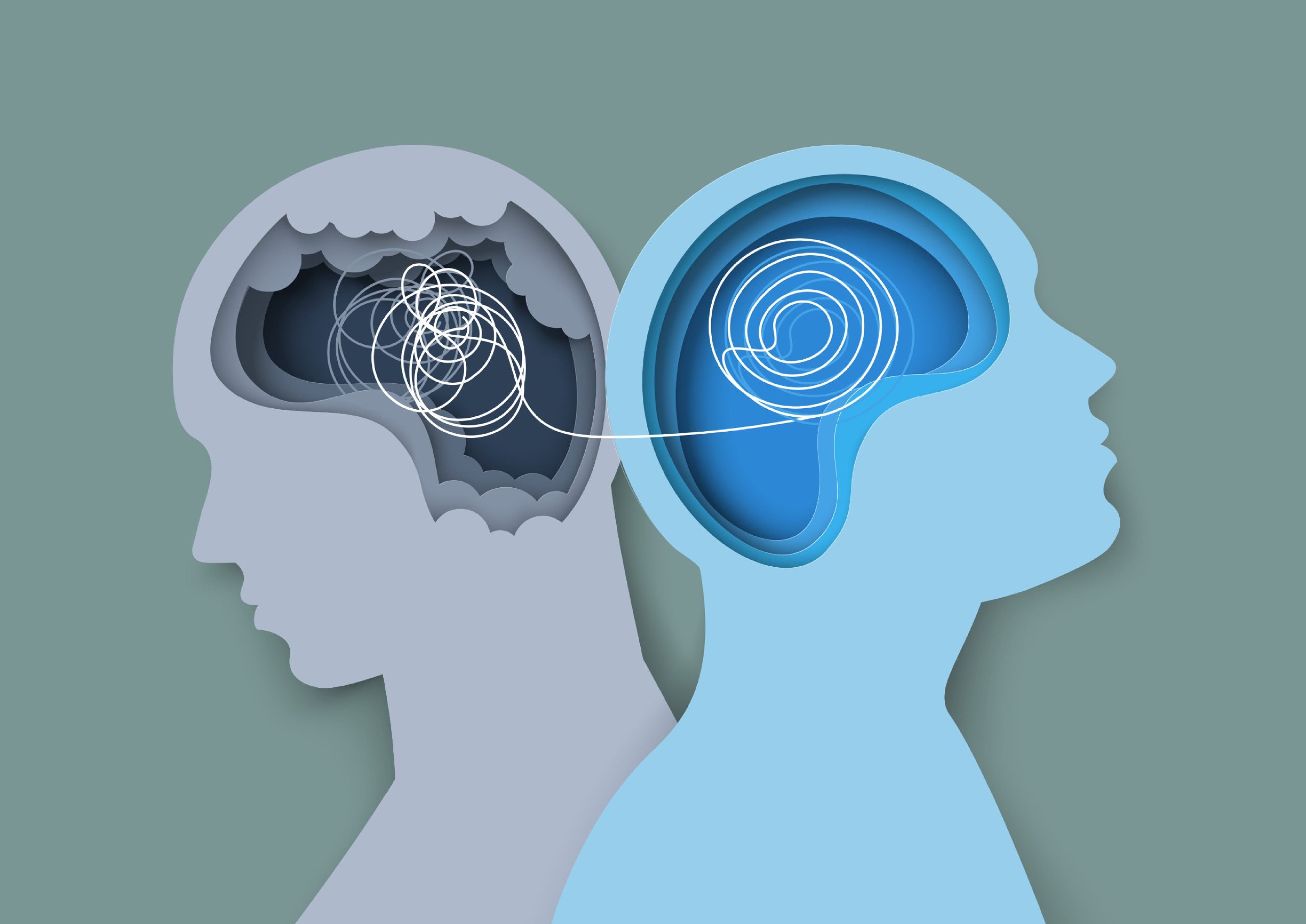 Cerveau et empathie