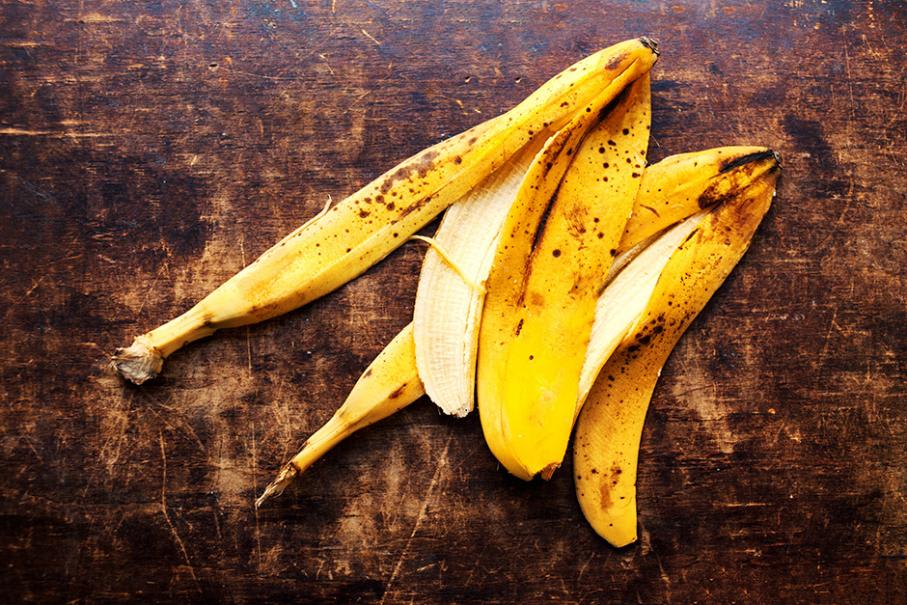 Peau de banane dans un jardin