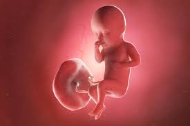 Mains entourant un petit pied de bébé
