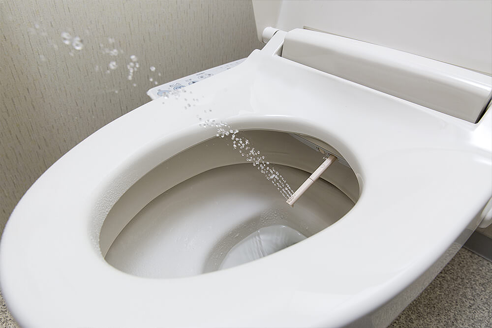 Toilettes traditionnelles japonaises