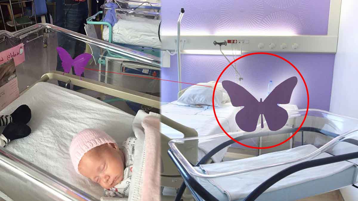Autocollant papillon violet sur couveuse en néonatalogie