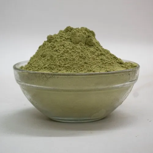 Poudre de Phyllanthus niruri en pot