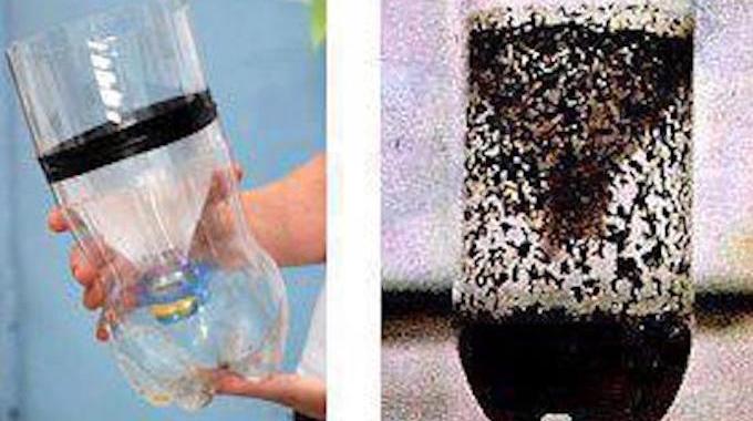 Piège à moustiques DIY efficace