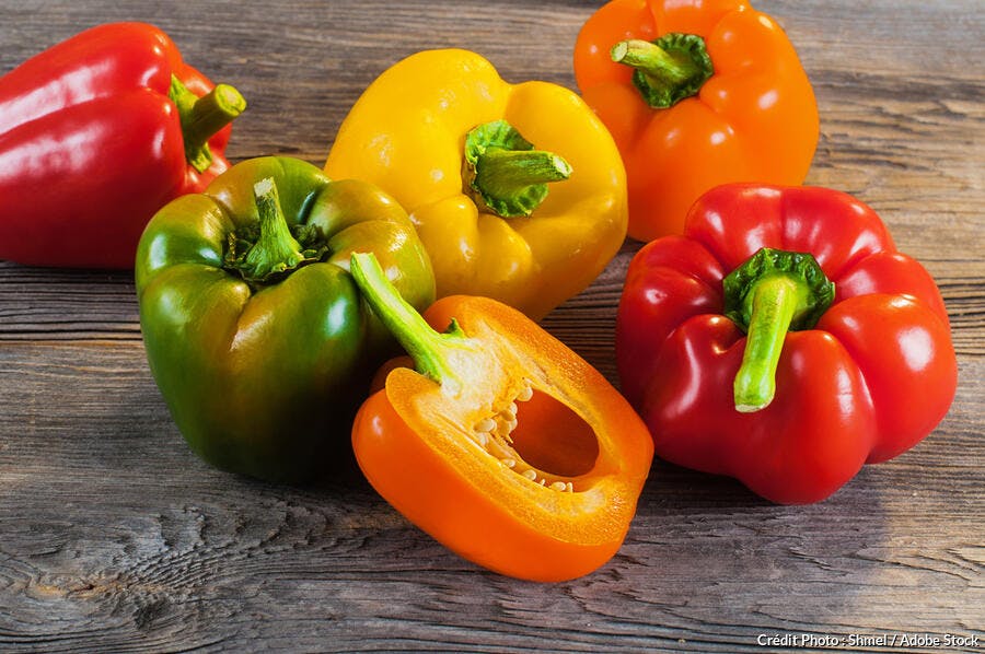 Différentes variétés de poivrons colorés