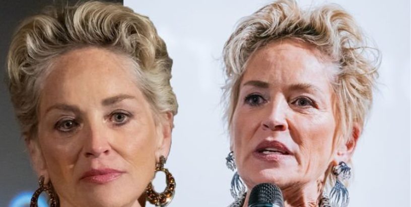 Sharon Stone rayonnante en tenue élégante