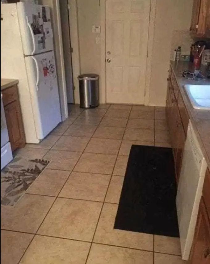 Image d'une cuisine avec un labrador noir caché