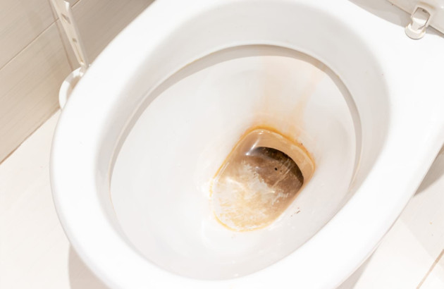 Dépôts de tartre dans des toilettes