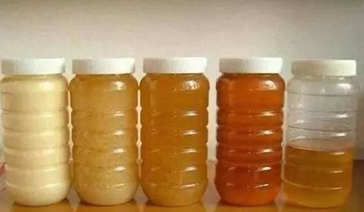 Miel cristallisé dans un pot
