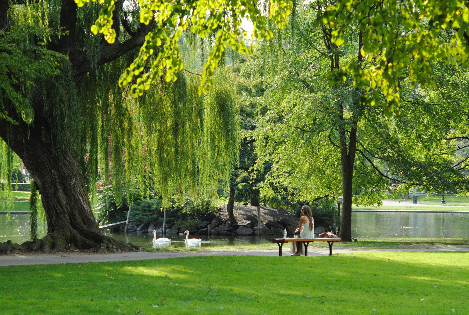 Photo d'un jardin public paisible