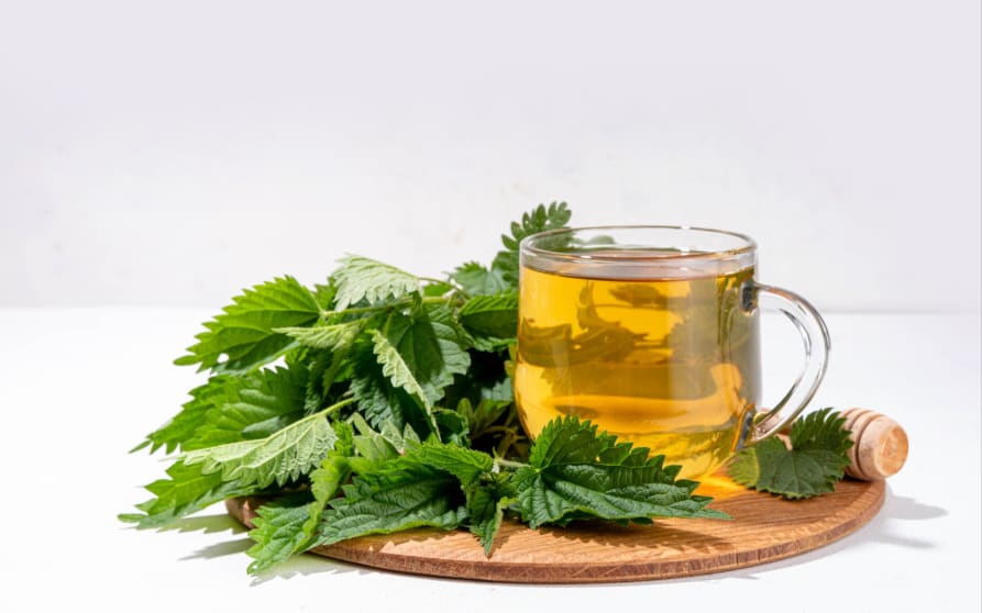 Solutions biologiques contre les pucerons