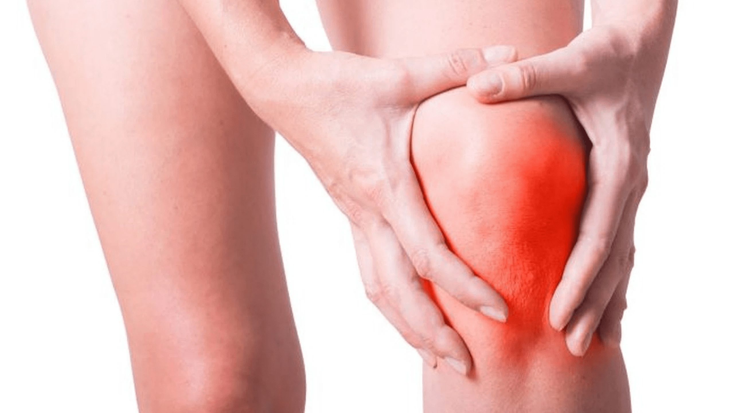 Plante anti-inflammatoire naturelle pour les articulations