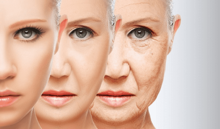 Antioxydants naturels contre le vieillissement cellulaire