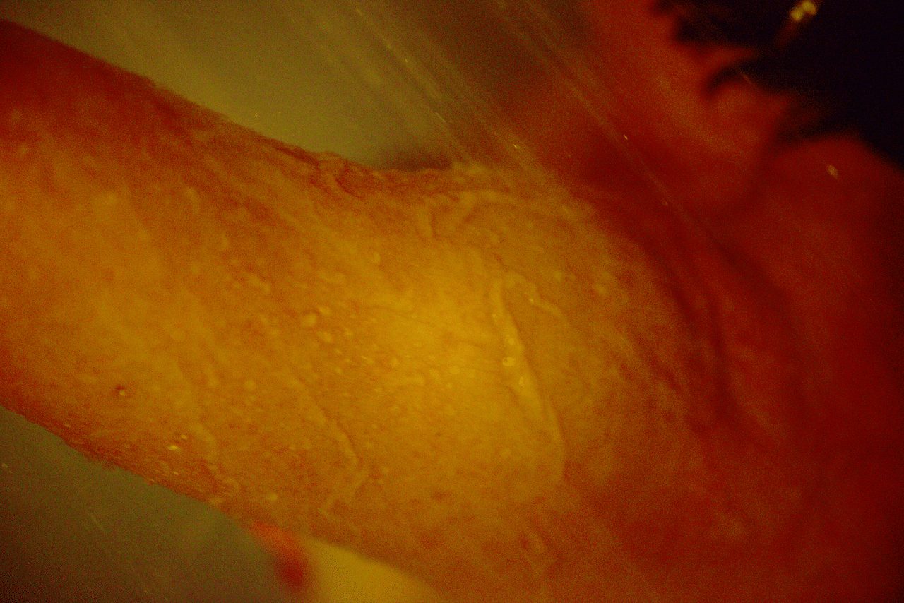 Détail d'une épaule sous l'eau de la douche, symbolisant les soins doux.