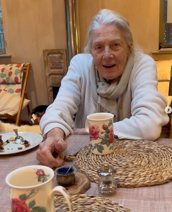 Vanessa Redgrave, portrait récent