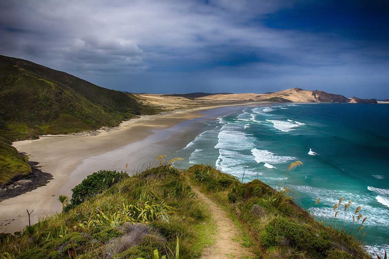 Plage déserte et préservée en Nouvelle-Zélande