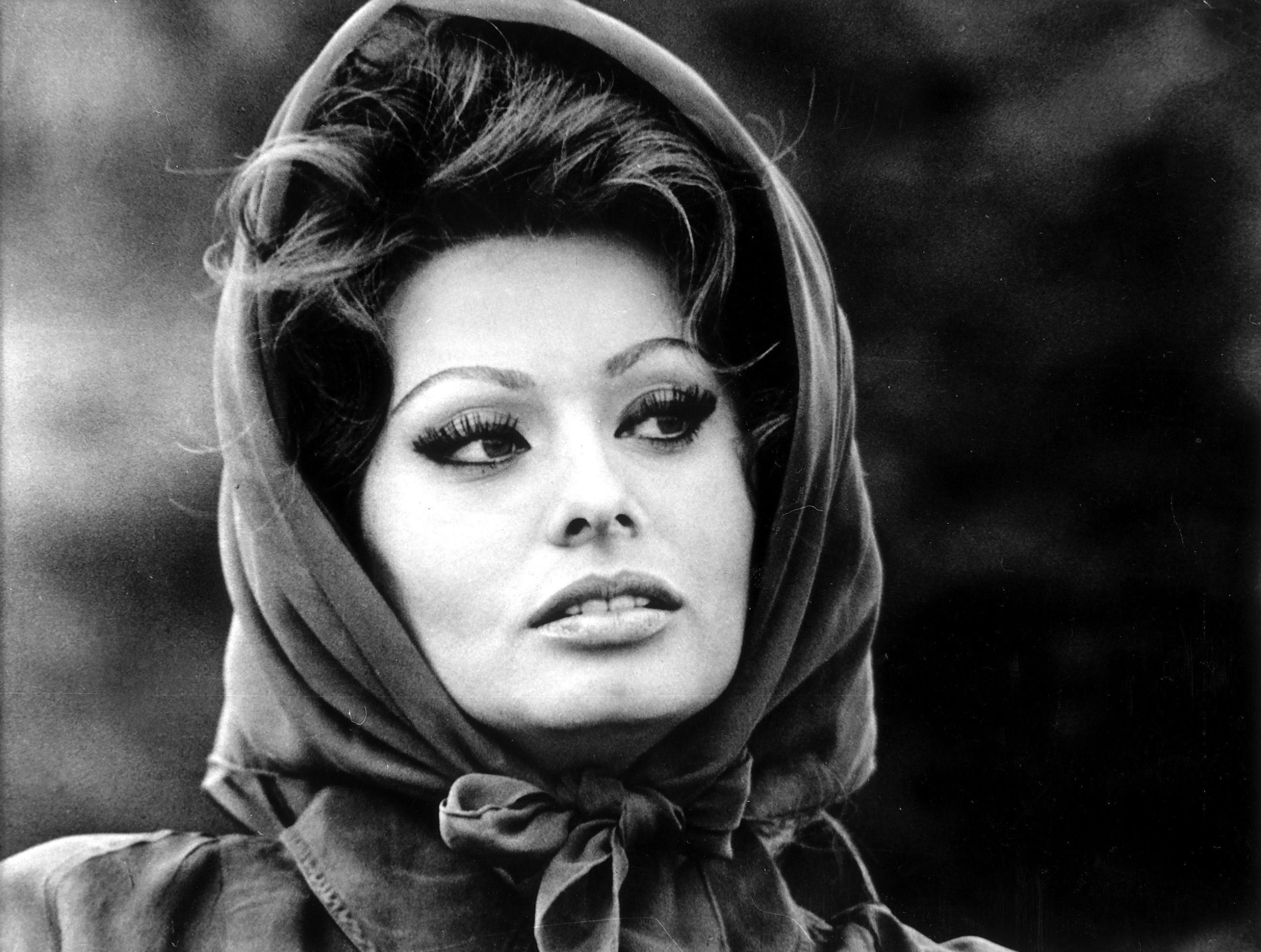 Sophia Loren et Carlo Ponti lors d'un événement public