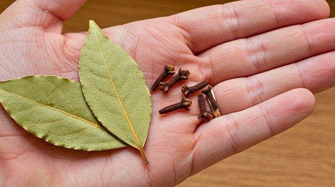 Mélange d'épices et de feuilles séchées pour la préparation d'une huile capillaire maison