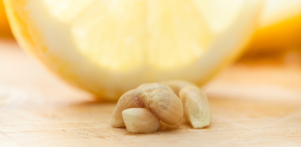 Pépins de citron infusant dans de l'eau pour un rinçage capillaire