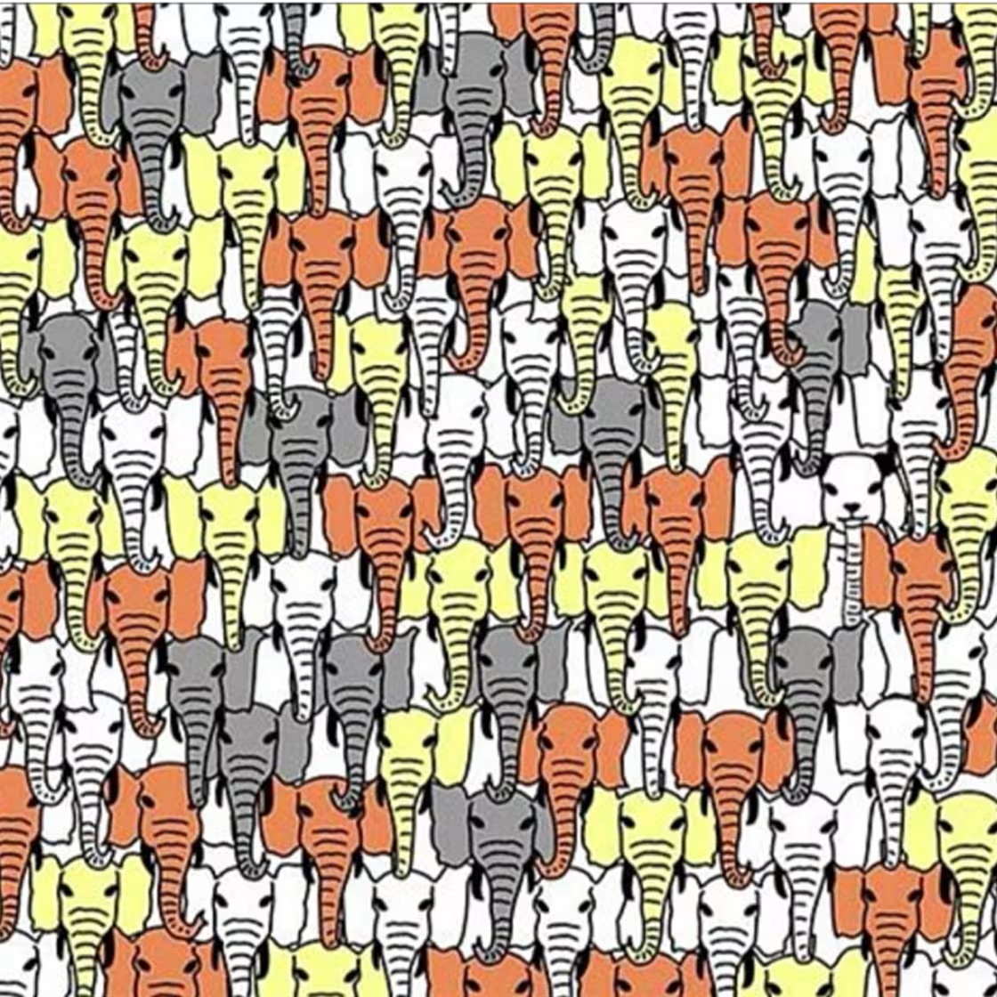 Illustration colorée d'un puzzle visuel avec des éléphants