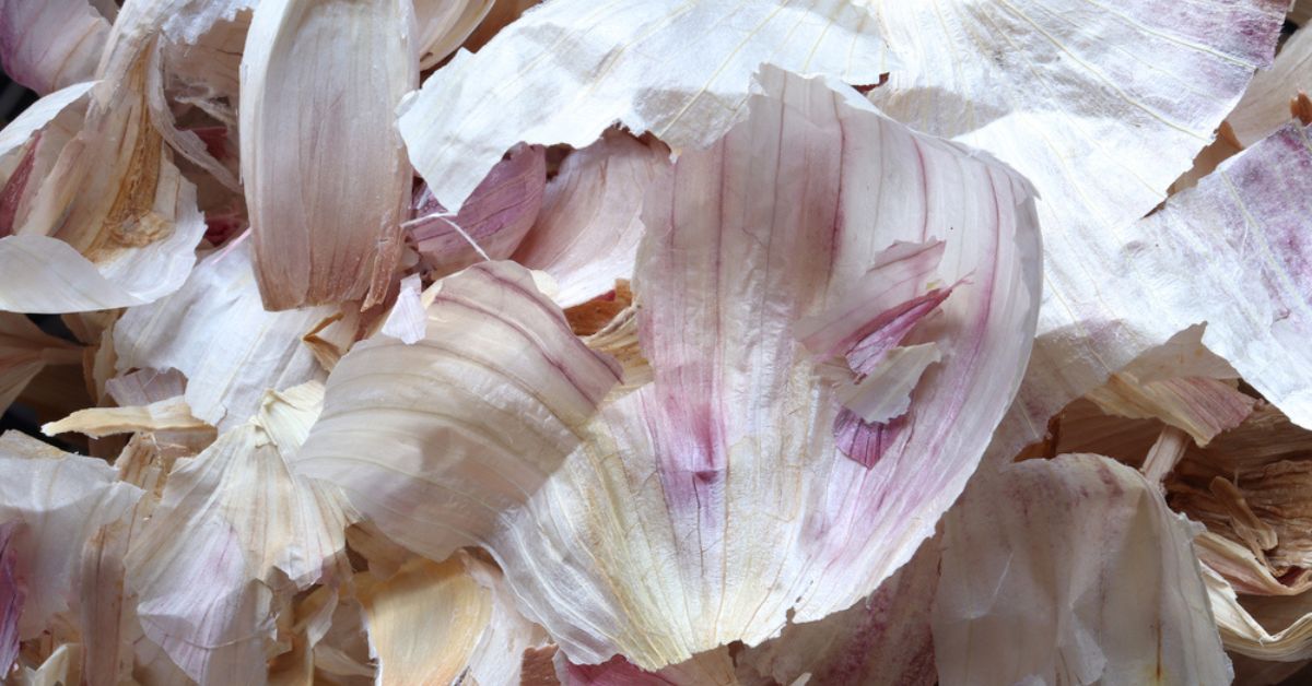 Épluchures d'ail séchées sur un plan de travail en bois